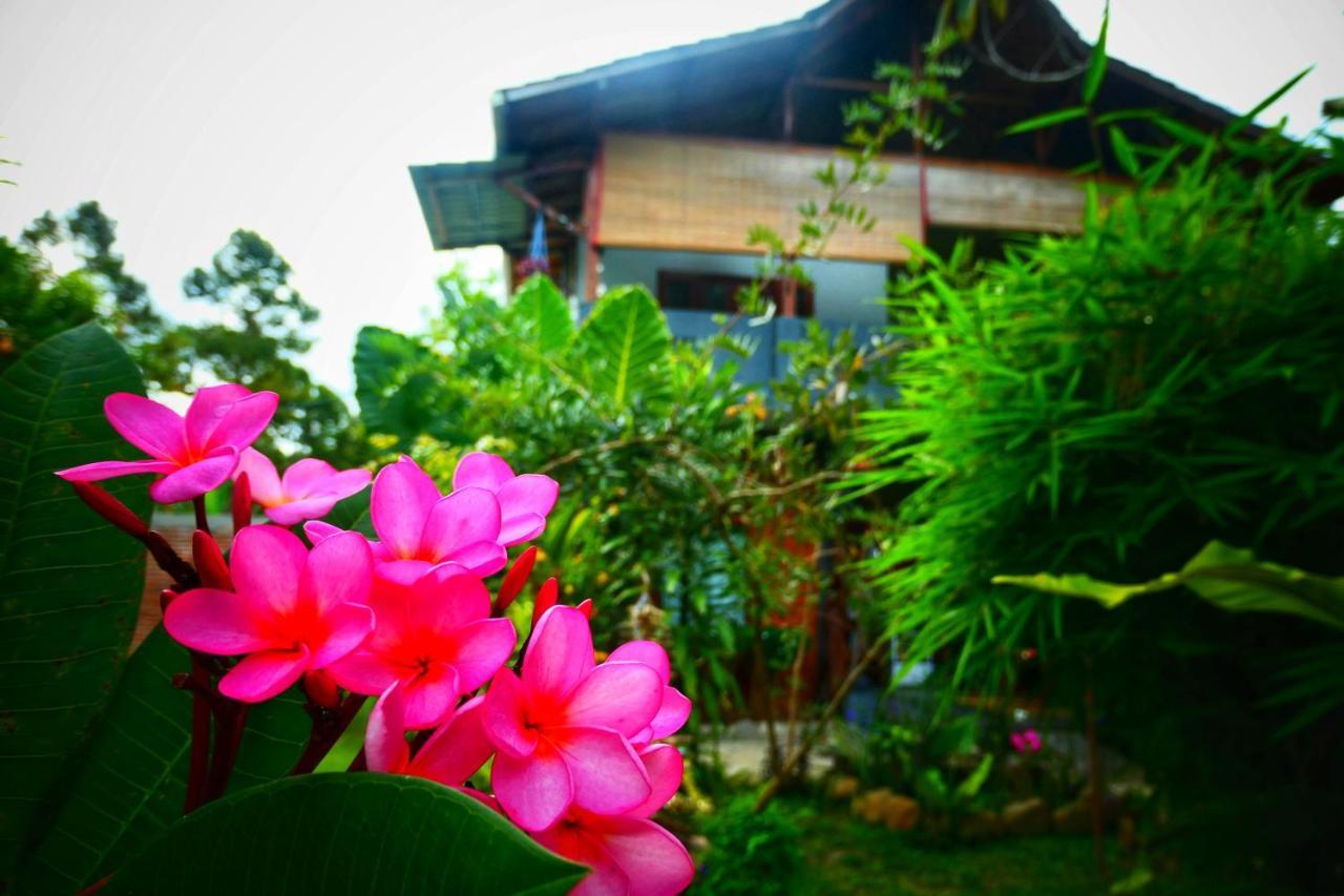 Sumatra Orangutan Discovery Villa Bukit Lawang Exterior foto