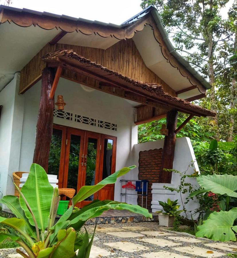 Sumatra Orangutan Discovery Villa Bukit Lawang Exterior foto